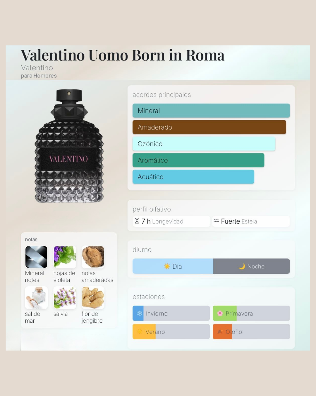 VALENTINO Uomo Born in Roma