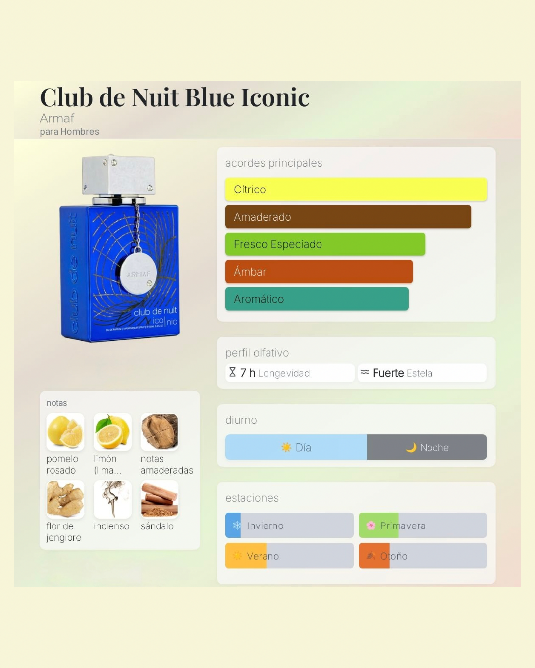 Armaf Club de Nuit Iconic (Alternativa de Bleu de Chanel Parfum)